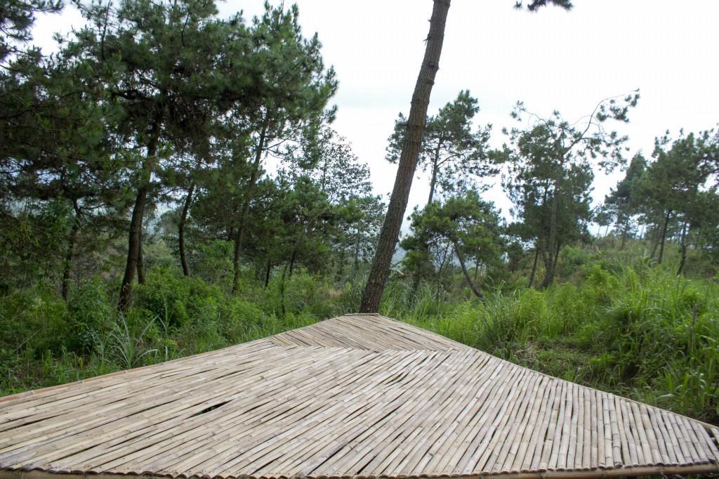 Papandayan Camping Ground Ξενοδοχείο Cileuleuy Εξωτερικό φωτογραφία