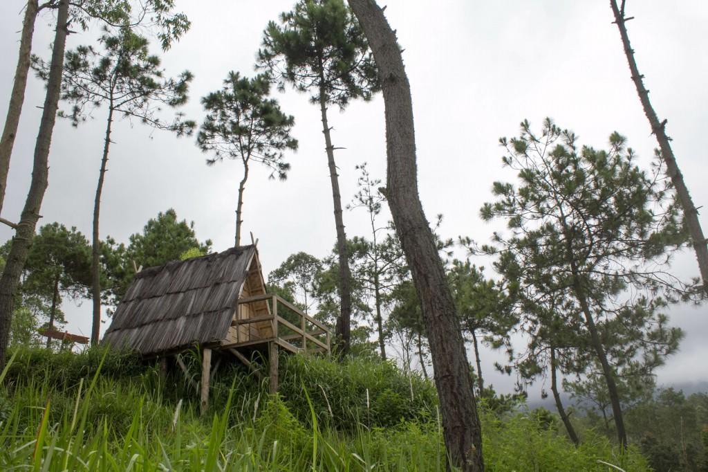 Papandayan Camping Ground Ξενοδοχείο Cileuleuy Εξωτερικό φωτογραφία
