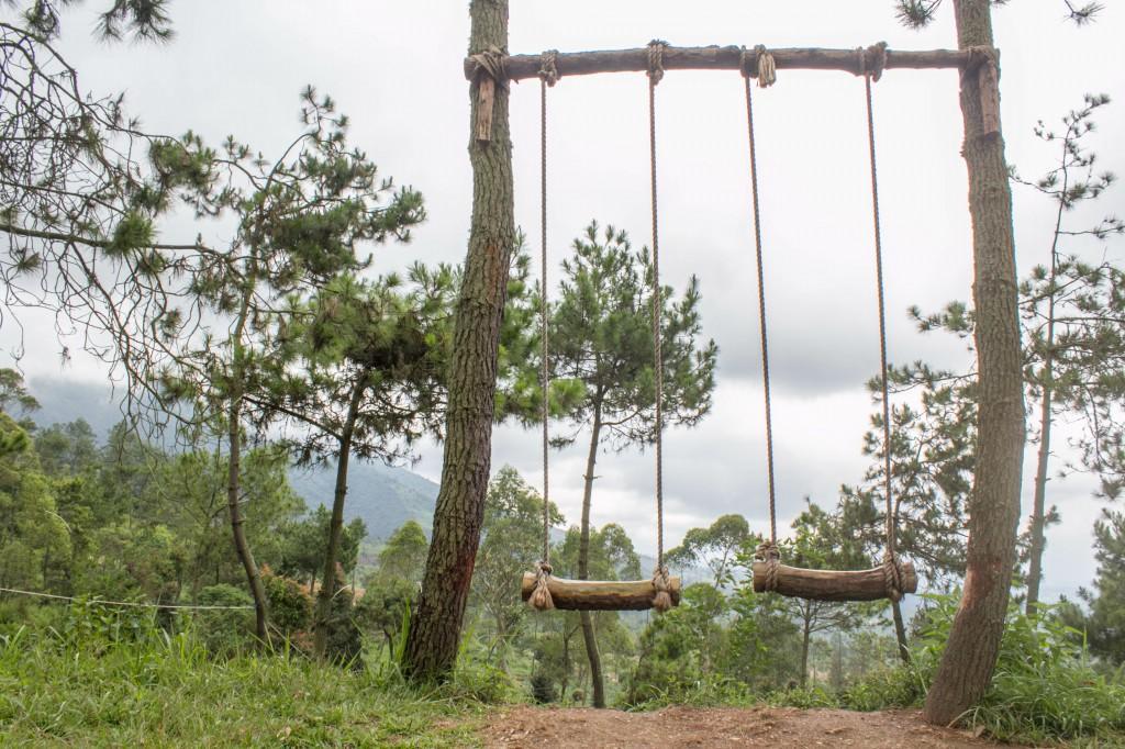 Papandayan Camping Ground Ξενοδοχείο Cileuleuy Εξωτερικό φωτογραφία