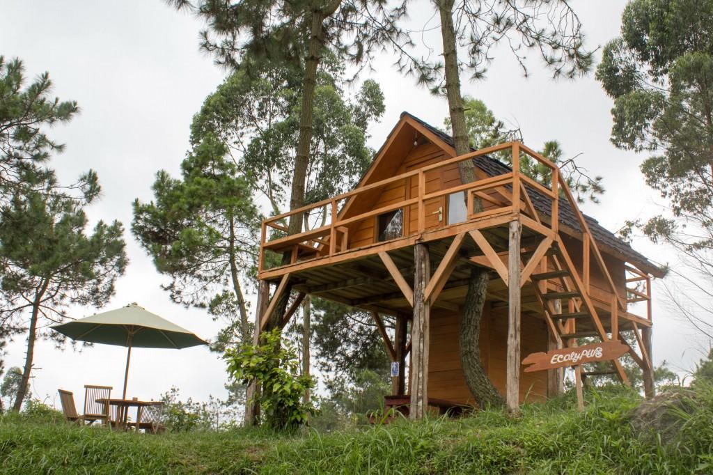 Papandayan Camping Ground Ξενοδοχείο Cileuleuy Εξωτερικό φωτογραφία