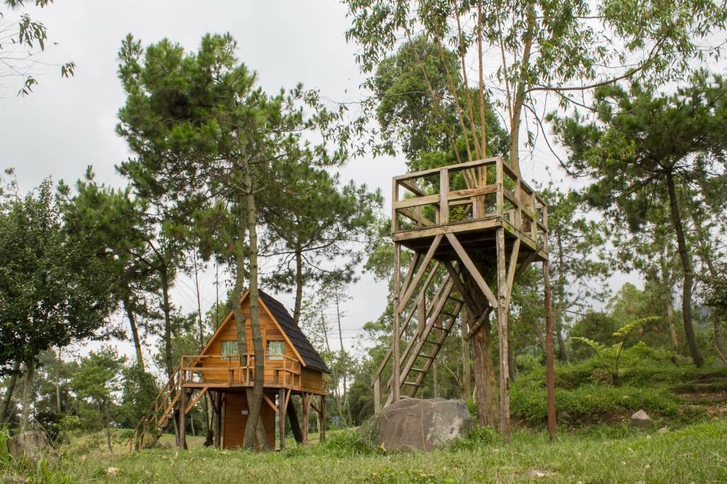 Papandayan Camping Ground Ξενοδοχείο Cileuleuy Εξωτερικό φωτογραφία