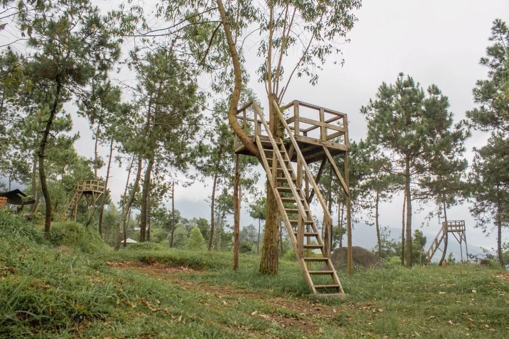 Papandayan Camping Ground Ξενοδοχείο Cileuleuy Εξωτερικό φωτογραφία