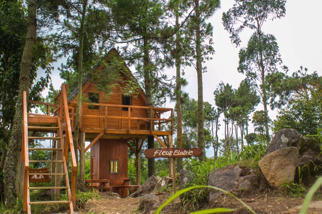 Papandayan Camping Ground Ξενοδοχείο Cileuleuy Εξωτερικό φωτογραφία