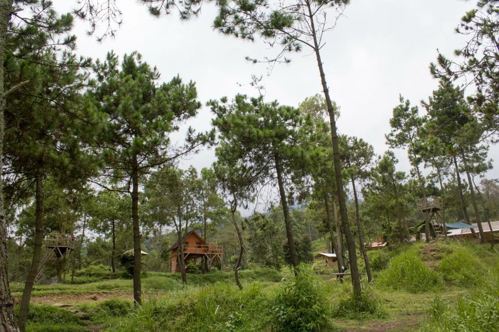 Papandayan Camping Ground Ξενοδοχείο Cileuleuy Εξωτερικό φωτογραφία