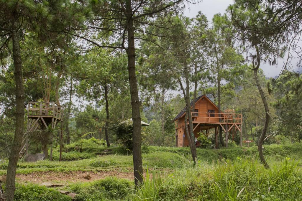 Papandayan Camping Ground Ξενοδοχείο Cileuleuy Εξωτερικό φωτογραφία