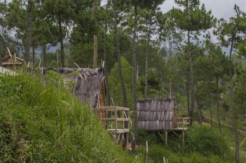 Papandayan Camping Ground Ξενοδοχείο Cileuleuy Εξωτερικό φωτογραφία
